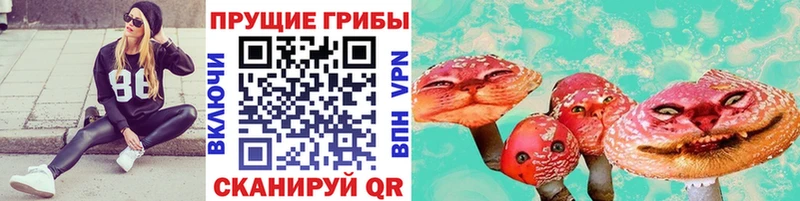 Галлюциногенные грибы MAGIC MUSHROOMS  купить наркоту  Агидель 